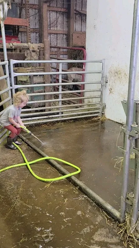 One of the kids washing out a pen with the hose on a spring day